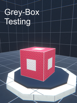Grey-Box Testing