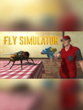 Fly Simulator Game Cover Artwork