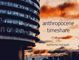 Anthropocene Timeshare Cover