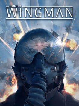 Project Wingman Game Cover Artwork