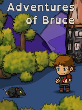 Adventures of Bruce Game Cover Artwork