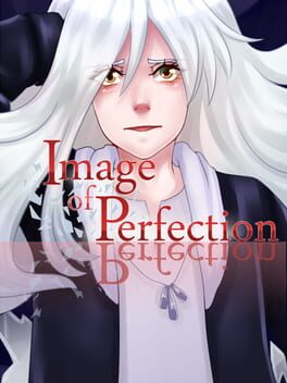 Image of Perfection Game Cover Artwork