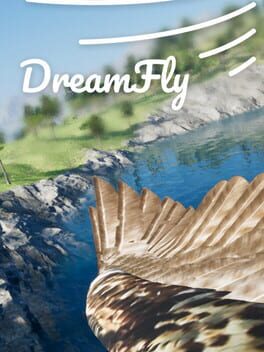 DreamFly Game Cover Artwork
