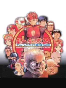 Power Instinct 2: A Slightly Stronger Legend image