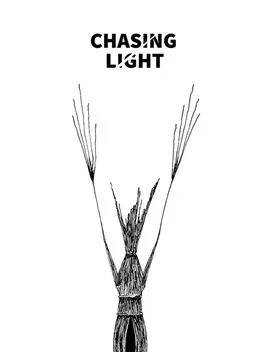 Chasing Light image