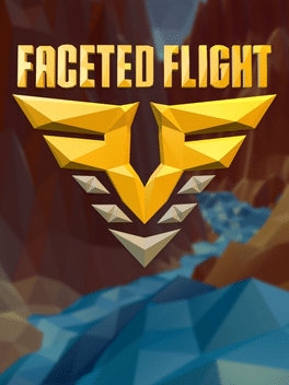 Faceted Flight