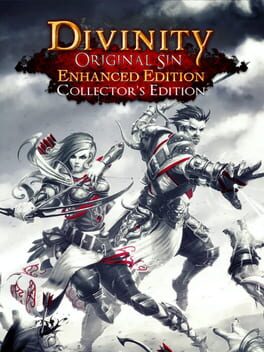 Divinity: Original Sin - Enhanced Edition Collector's Edition Game Cover Artwork