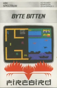 Byte Bitten