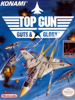 Top Gun: Guts and Glory