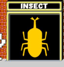 Insect