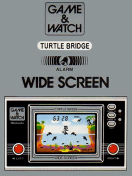 Turtle Bridge