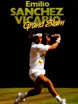 Emilio Sanchez Vicario Grand Slam