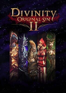 Divinity: Original Sin II - Divine Edition Game Cover Artwork