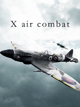 X Air Combat