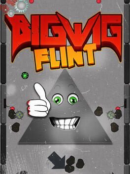Bigwig Flint Game Cover Artwork