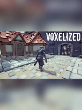 Voxelized