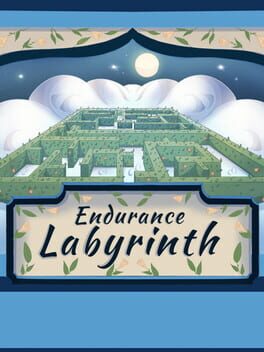 Endurance Labyrinth Game Cover Artwork