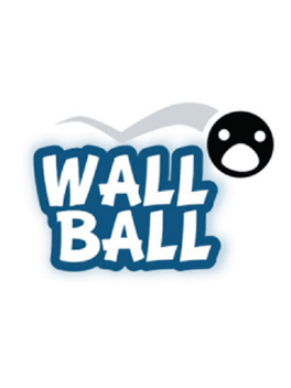 Wall Ball Cover