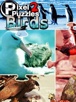 Pixel Puzzles 2: Birds Game Cover Artwork