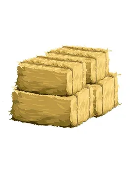 FarmWoozy