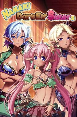 Namaiki Dark Elf Sisters Game Cover Artwork