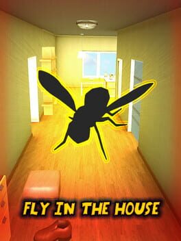 Fly in the House Game Cover Artwork