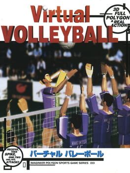 Virtual Volleyball