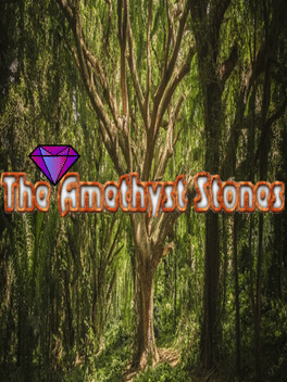 The Amethyst Stones