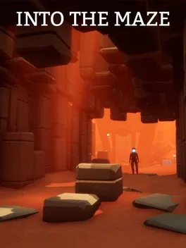 Into the Maze