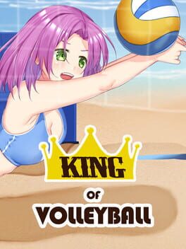 King of Volleyball Game Cover Artwork