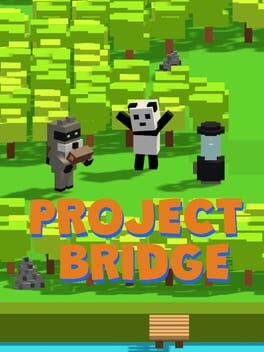 Project Bridge Game Cover Artwork