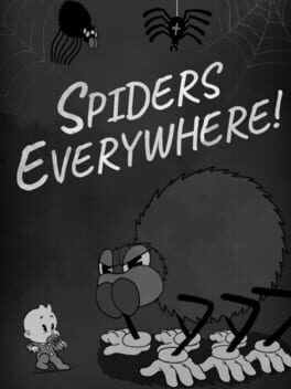 Spiders Everywhere