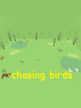 Chasing Birds