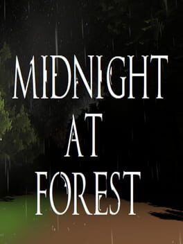 Midnight at Forest