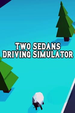 Two Sedans Driving Simulator Game Cover Artwork