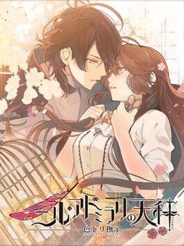 冷然之天秤 色彩缤纷抚子破解游戏下载-游戏公社