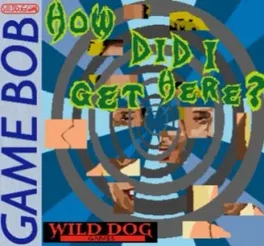 How did I get here? image