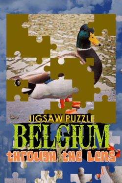 Jigsaw Puzzle: Belgium Through the Lens