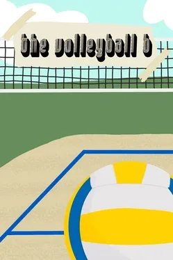 The Volleyball B image
