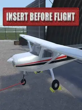 Insert Before Flight image
