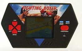 Fighting Boxer