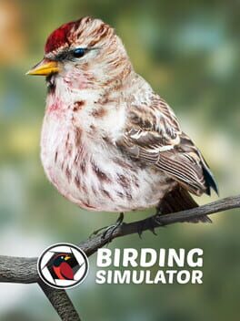 Birding Simulator