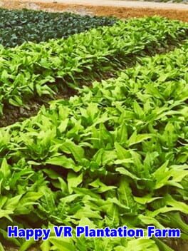 Happy VR Plantation Farm
