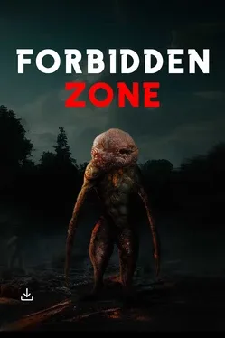 Forbidden zone image