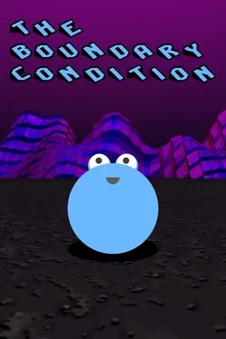 The Boundary Condition