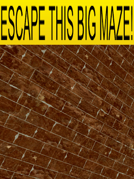 Escape This Big Maze!
