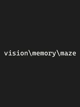 Vision Memory Maze