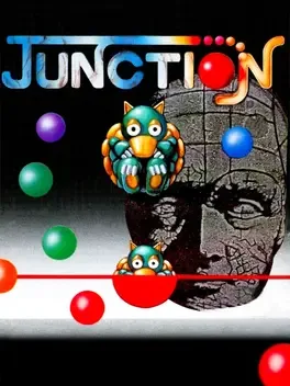 Junction image