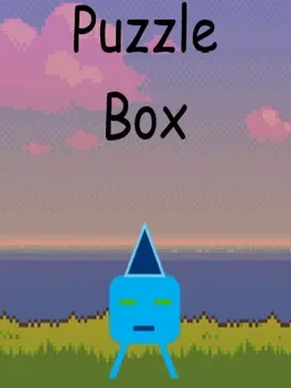 Puzzle Box