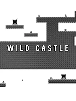 Image de couverture Wild Castle